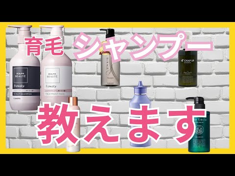 あれ開催します。