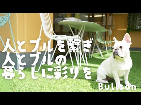 【ショップ紹介】港区芝浦 人とブルを繋ぎ、人とぶるの暮らしに彩りを。Bullson 美容室＆ドッグラン＆愛犬雑貨